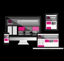 Web Design ALPHA CONSULTING GROUP