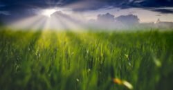 1,000 sqm Land for Sale