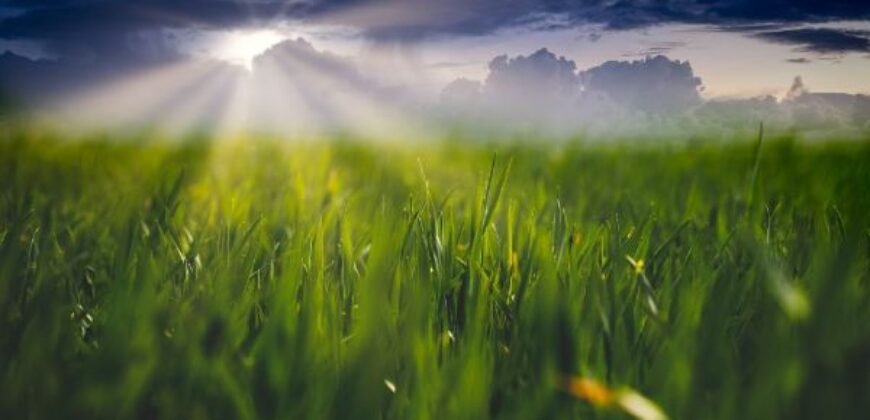 1,000 sqm Land for Sale