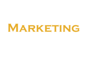 ALPHA CONSULTING GROUP