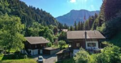 Chalet for Sale | Fribourg / CH