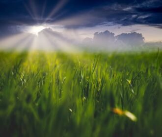 1,000 sqm Land for Sale | Bayahibe / DR