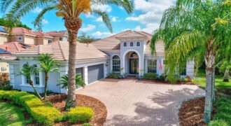 Single family House | Tampa / FL